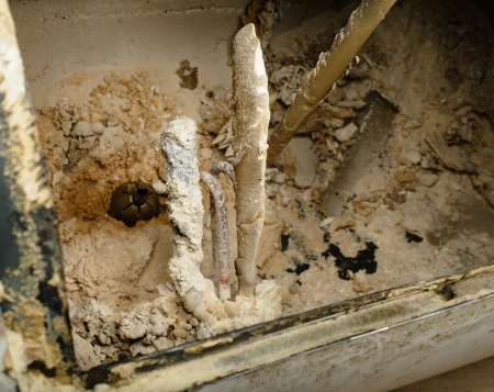 Comment se forme le calcaire ?