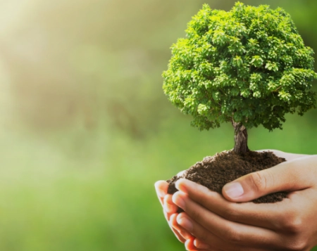 Journée de la Terre : Culligan & No Plastic in My Sea, ensemble contre le plastique