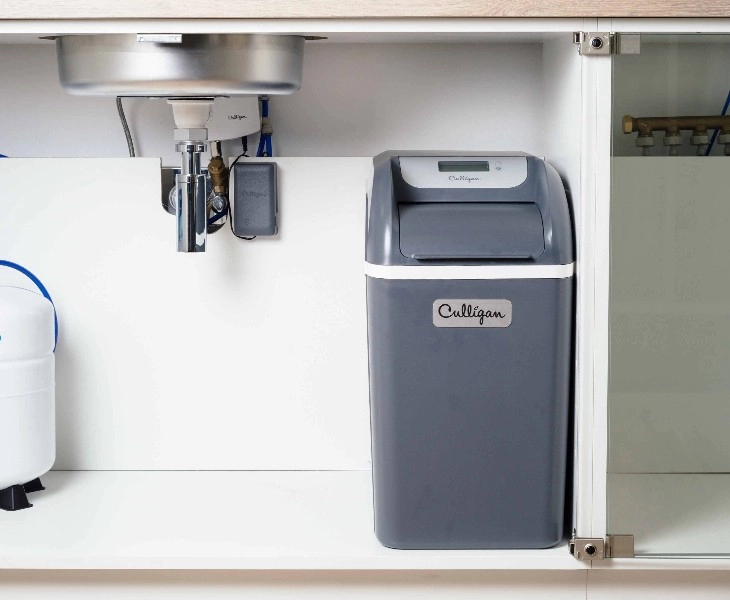 Avenew en situation VF