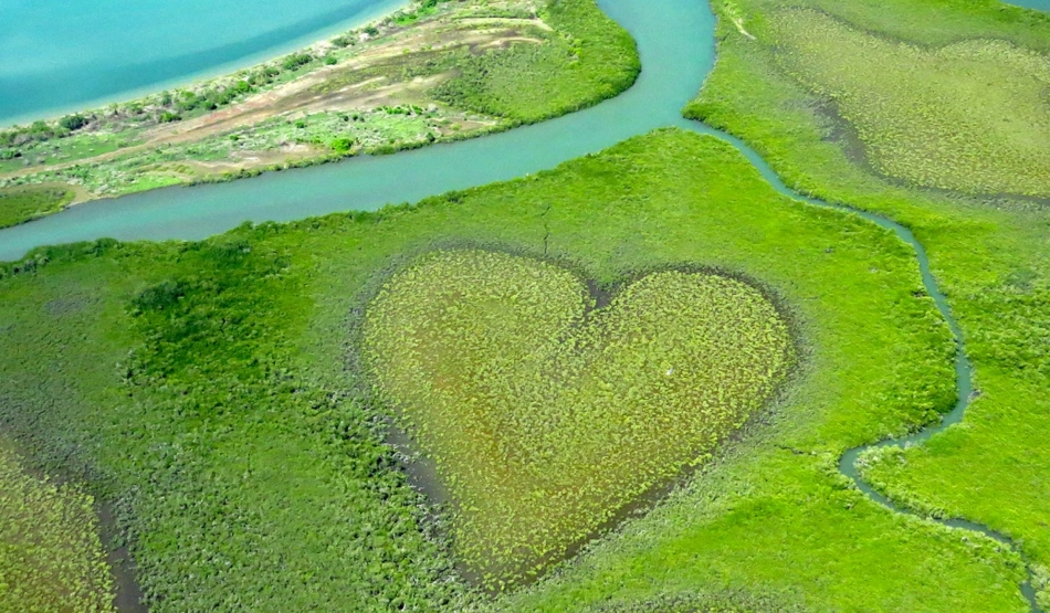 culligan-preserve-planete_1530x1354