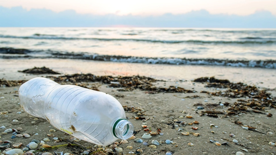 journée mondiale de l'environnement